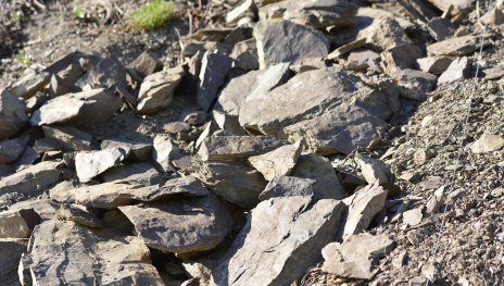 Schiefer & W&uuml;rze | &copy; Weingut Toni Lorenz