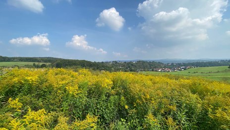 &copy; Tourist-Information Remagen, Mittelrhein