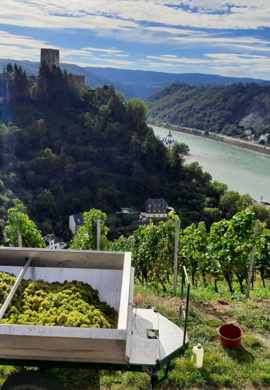 Lese2 | &copy; Bahles