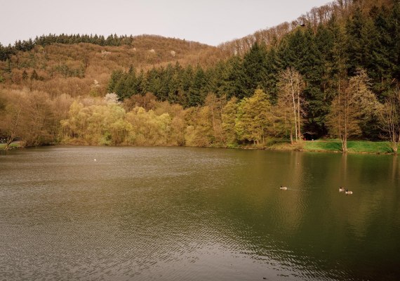 Schwanenteich | © Zimpfer_Photography