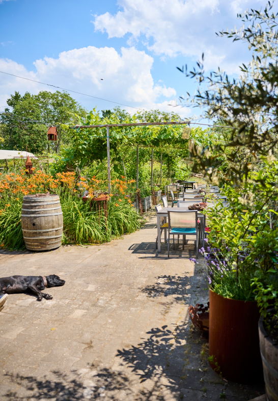 Garten Genussgarten | © Genussgarten