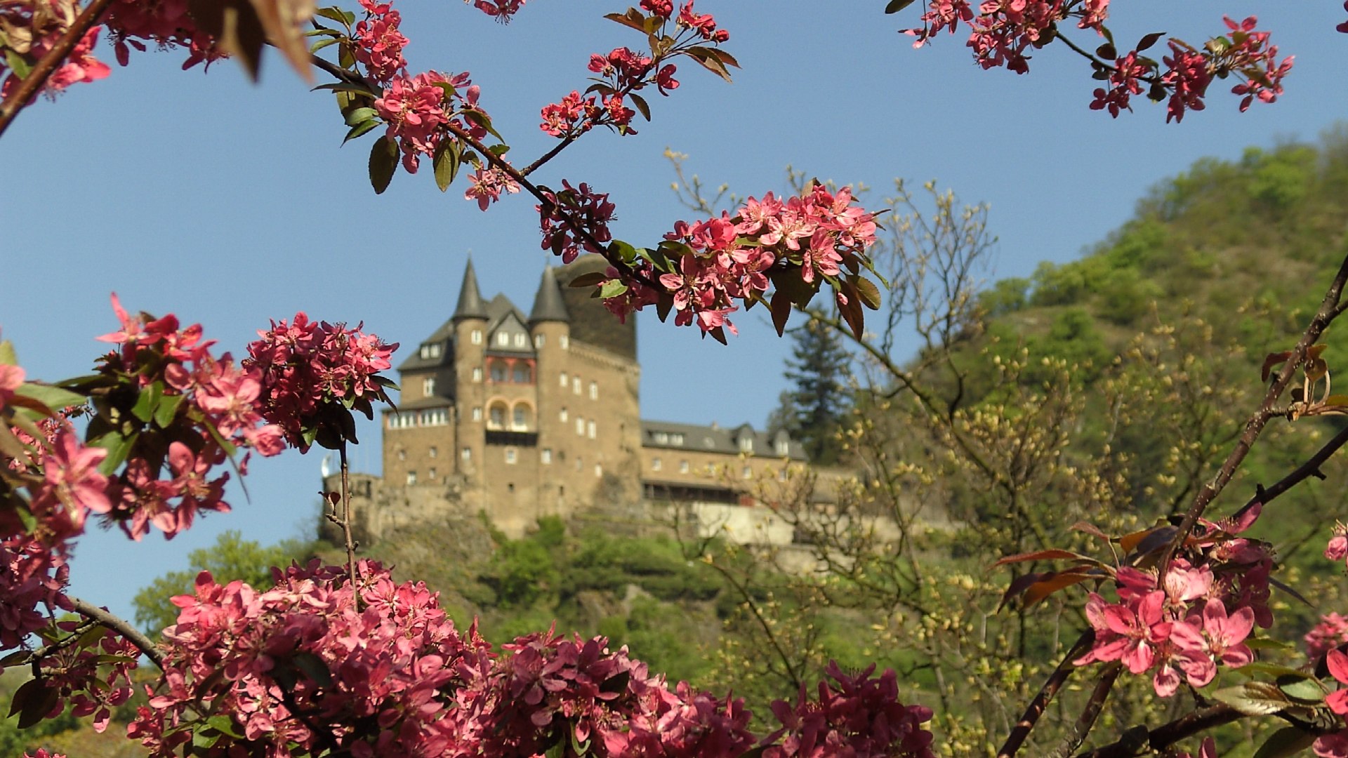 Burg Katz, St. Goarshausen  | © Jens Niemeyer
