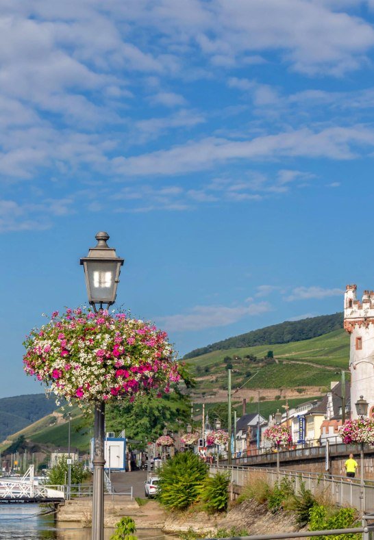 Hafenpark Rüd 3 | © Rheingau- Taunus Kultur und Tourismus GmbH Hafenpark Rüd 3 | © Rheingau- Taunus Kultur und Tourismus GmbH
