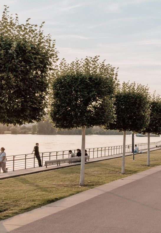 Deichvorgelände | © Zimpfer_Photography Deichvorgelände | © Zimpfer_Photography