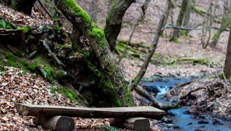 Pulsbachklamm | © Joachim Hewel