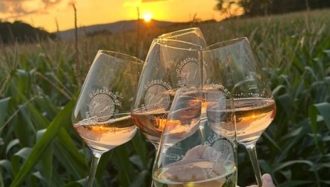 Wine Walk | © M. Heckel Wine Walk | © M. Heckel