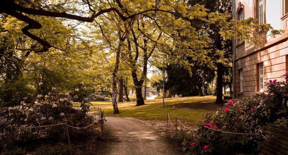 Schlosspark | &copy; Johannes Bruchhof