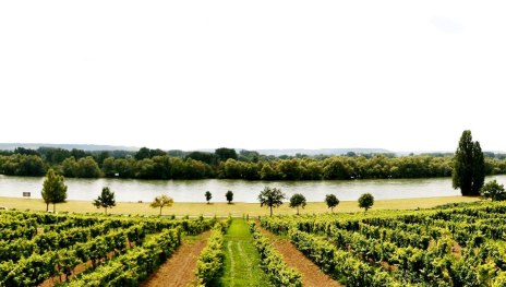 Gutsausschank Rheinblick | &copy; Gutsausschank Rheinblick