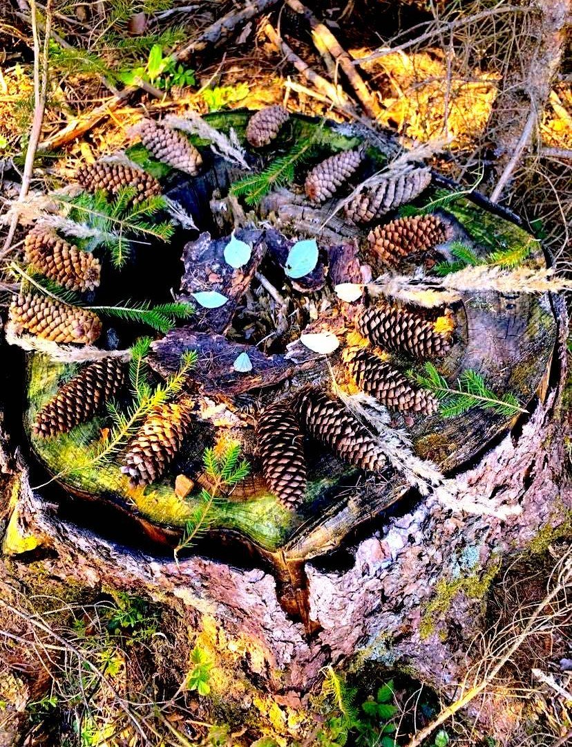 Ferienprojekt | &copy; Mediathek Eltville