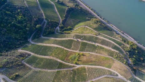 &copy; Fetz &ndash; Weingut & Destillerie