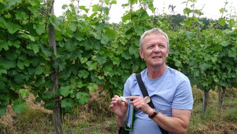 Bernd Doetsch im Weinberg | © Bernd Doetsch
