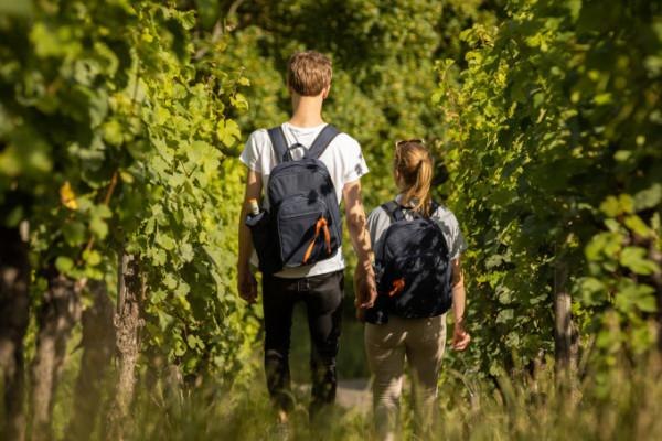 So schmeckts im Rheingau | &copy; Balthasar Ress