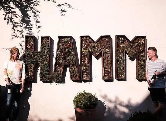 Weingut Hamm3 | &copy; Weingut Hamm