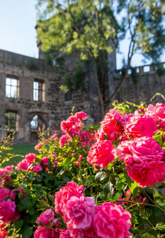 Stadtburg | © 90 Grad Photography/Hilger & Schneider GbR Stadtburg | © 90 Grad Photography/Hilger & Schneider GbR