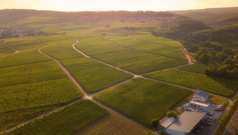 Weingut Sohns | © Weingut Sohns Weingut Sohns | © Weingut Sohns