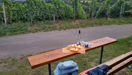 Picknickbank am Weinberg | &copy; E. Bender