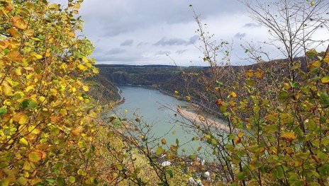 Weinbergsblick | &copy; Thomas Biersch