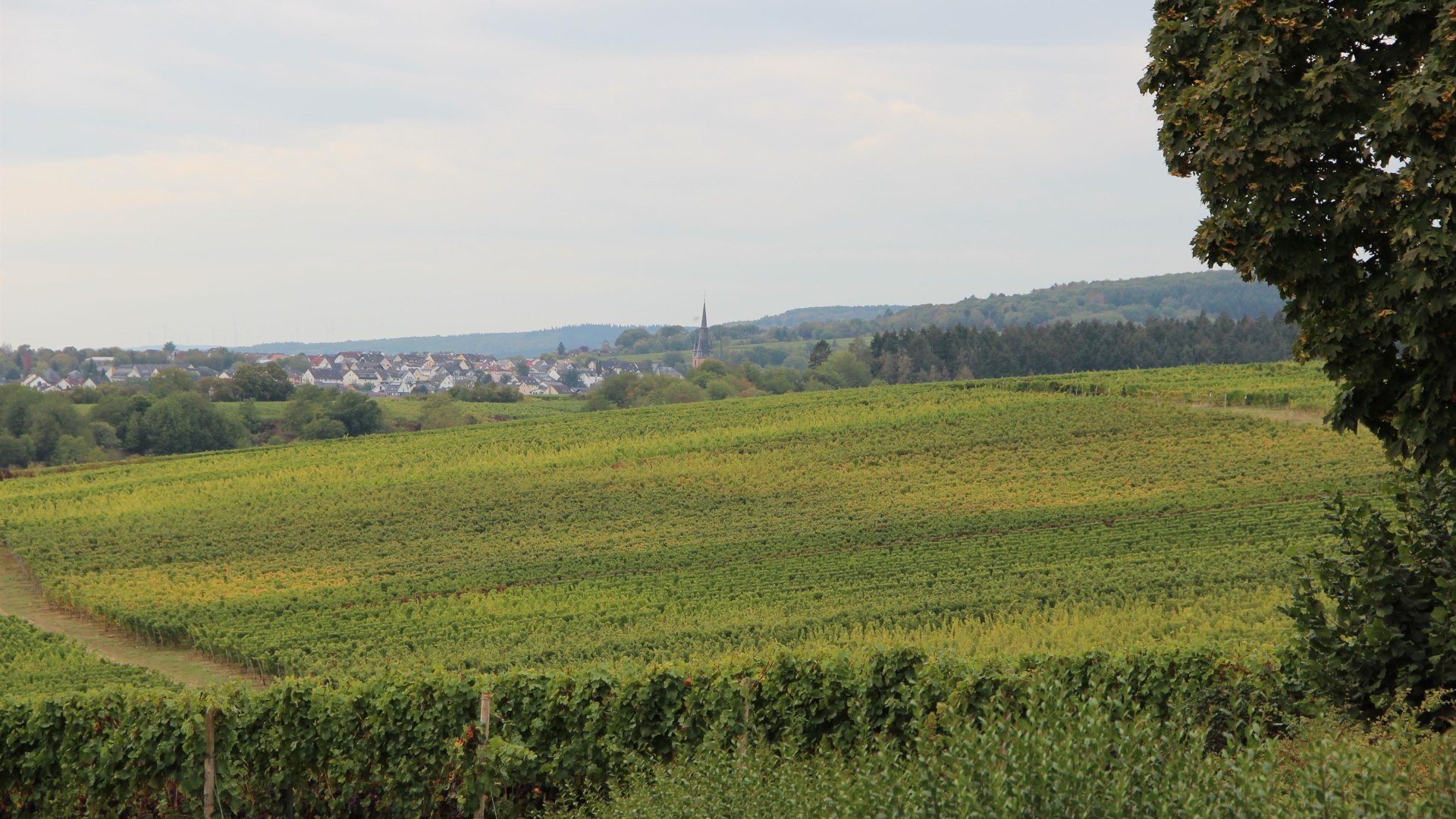 Urlaub mit dem Wohnmobil | &copy; Werner Engelmann