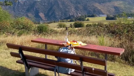 Picknickbank auf der Bitz mit Schönburgblick | © E. Bender Picknickbank auf der Bitz mit Schönburgblick | © E. Bender