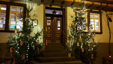 Tannenbaum | © Elias Melchert
