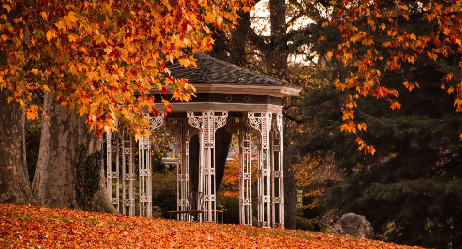 Herbst | © Koblenz-Touristik GmbH / Johannes Bruchhof Herbst | © Koblenz-Touristik GmbH / Johannes Bruchhof