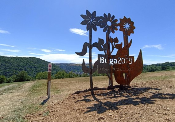 3 Buga-Blumen | &copy; T. Biersch