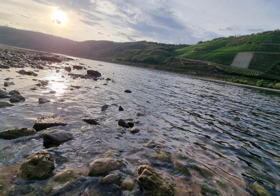 Rhein | &copy; Ulrike Dallmann