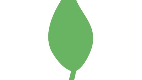 &copy; Stadt Braubach, Tourist-Information Braubach