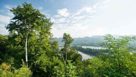 © Dominik Ketz, Romantischer Rhein Tourismus GmbH