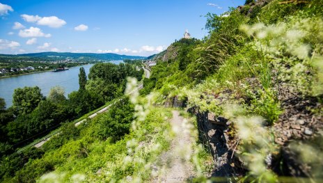 &copy; Henry Tornow, Mittelrhein