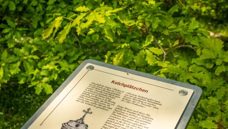 Sommer | © Dominik Ketz Sommer | © Dominik Ketz