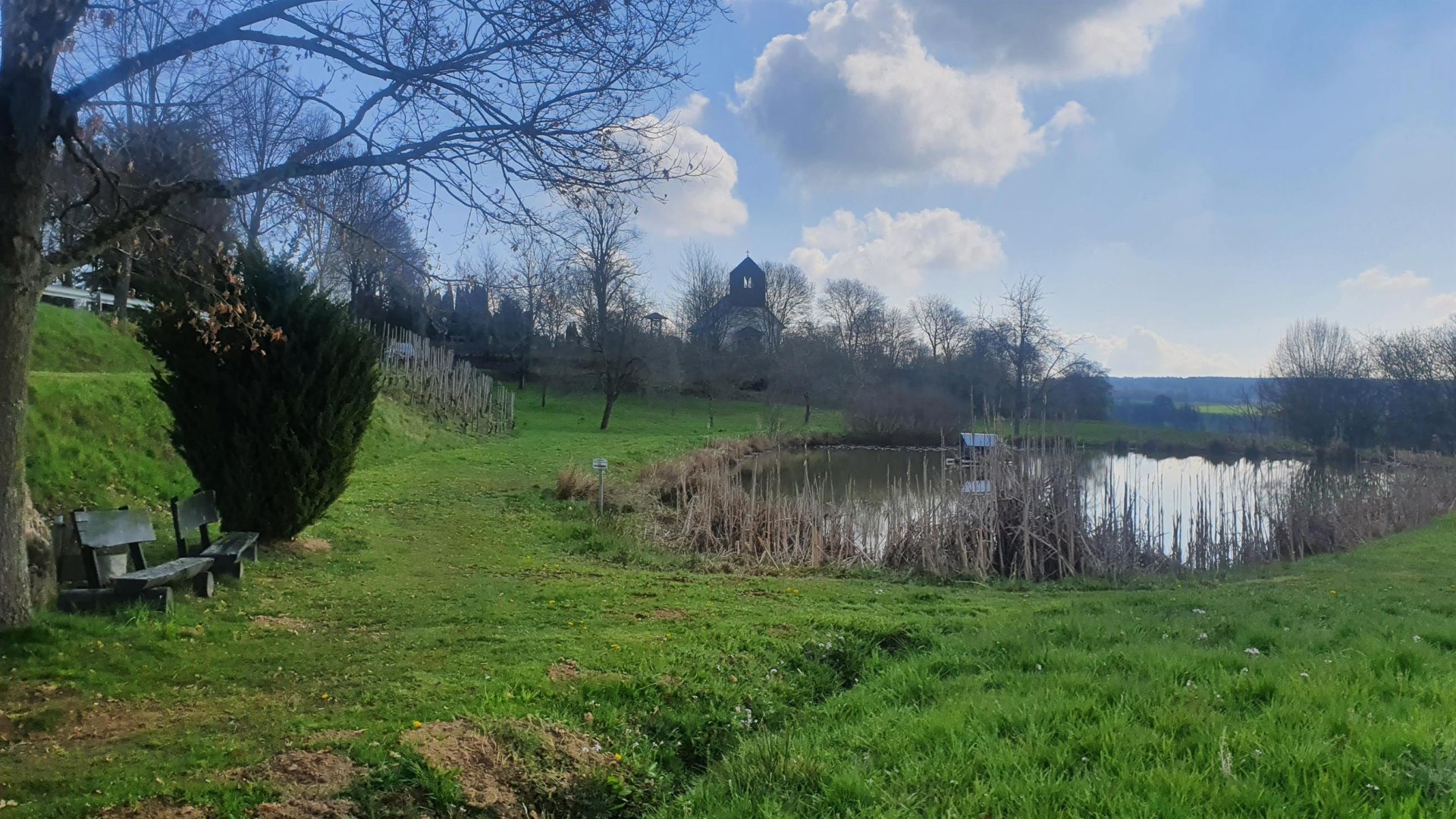 Teich am Simmerbach | © T. Biersch Teich am Simmerbach | © T. Biersch