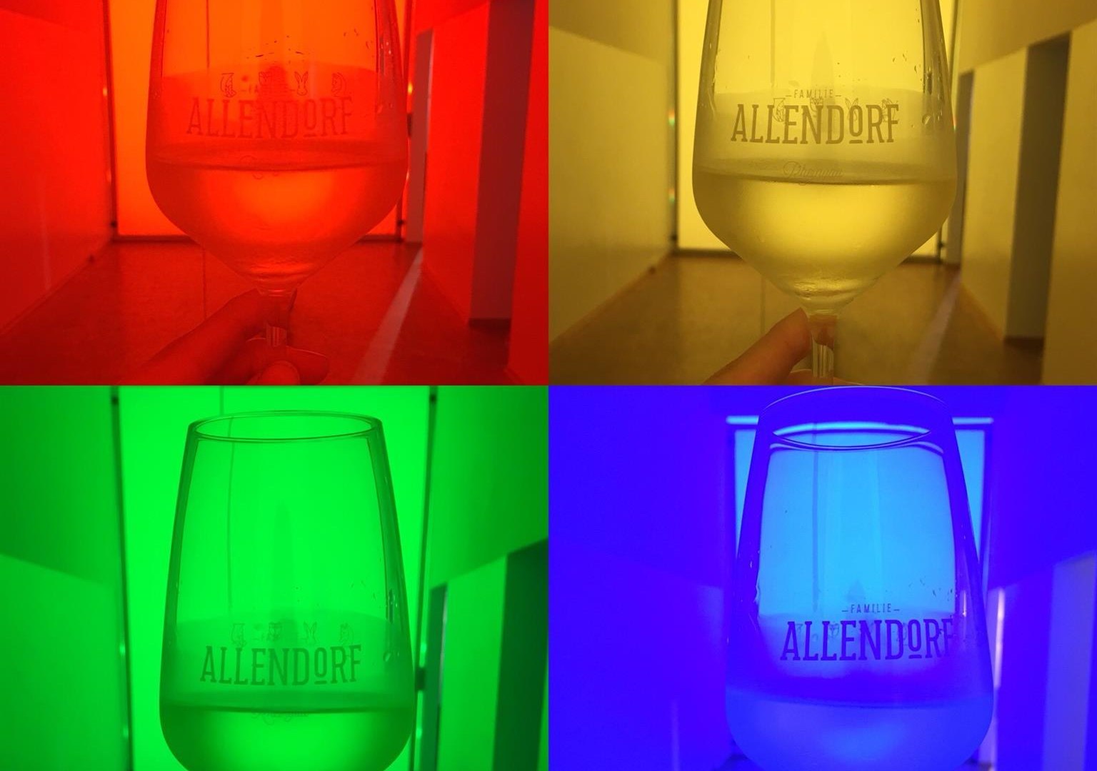 Weinprobe WeinErlebnisWelt | © Weingut Allendorf Weinprobe WeinErlebnisWelt | © Weingut Allendorf