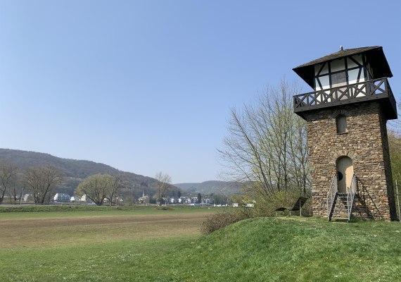 Beginn des Limes | © Kevin Kalfels/Romantischer Rhein Tourismus GmbH