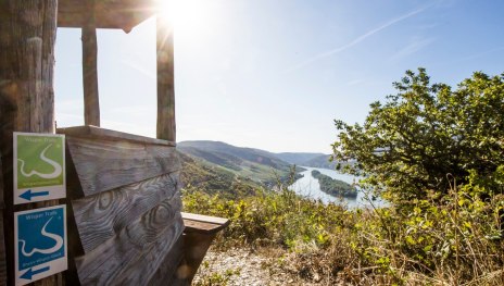 Rheinblick auf dem Rhein-Wisper-Glück Weg | © Manuel Igel, WIESBADEN RHEINGAU Rheinblick auf dem Rhein-Wisper-Glück Weg | © Manuel Igel, WIESBADEN RHEINGAU