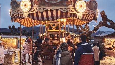 Karussell | © Marco Rothbrust