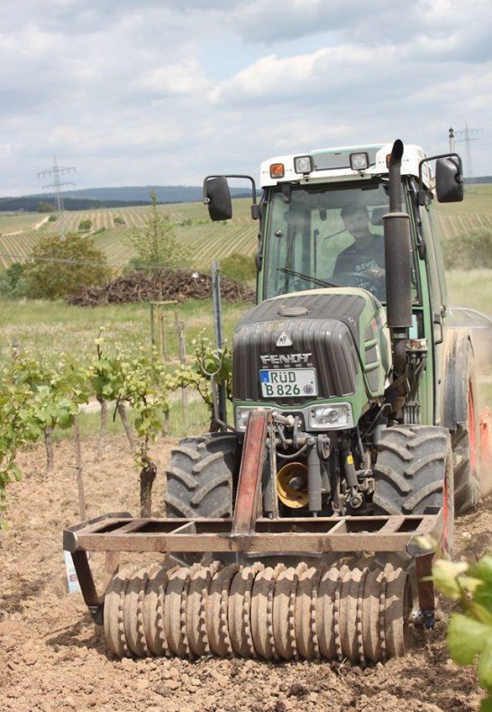 Au&szlig;enbetrieb Einsaat | &copy; Weingut Hans Bausch