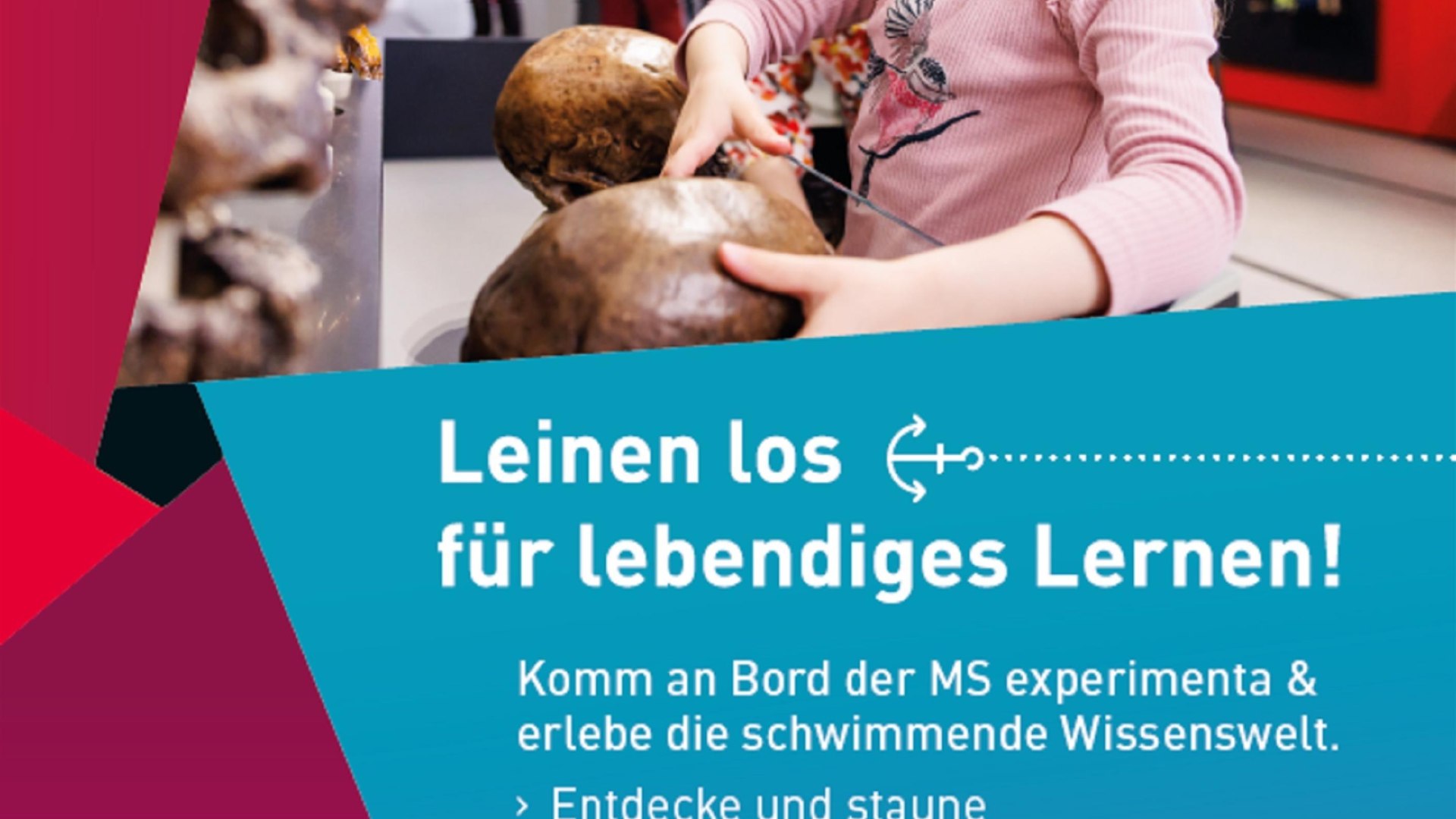 Plakat MS experimenta | &copy; experimenta GmbH