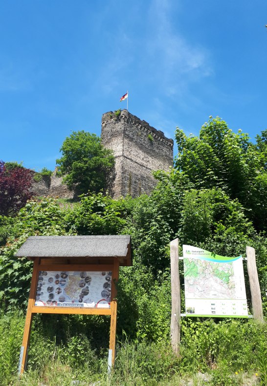 Burg mit Infotafeln | © Romantischer Rhein Tourismus GmbH Burg mit Infotafeln | © Romantischer Rhein Tourismus GmbH