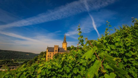 © Klaus Breitkreutz, Community