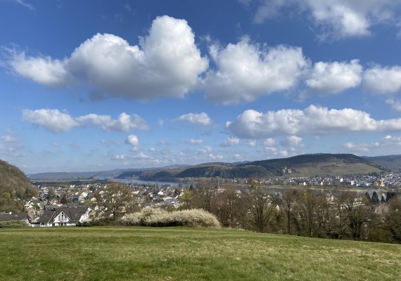 Fichtelwiese | &copy; Tourist-Information Bad Breisig