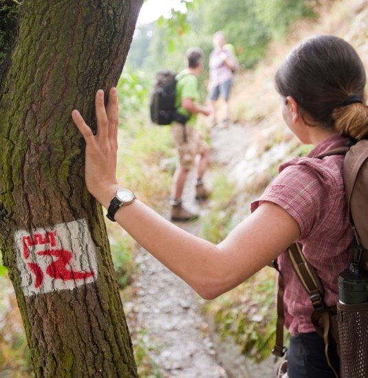 Auf dem Oelsbergsteig bei Oberwesel | © Dominik Ketz Auf dem Oelsbergsteig bei Oberwesel | © Dominik Ketz
