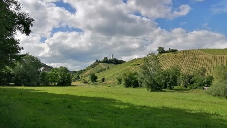 &copy; Anja Wegschimmel, Romantischer Rhein Tourismus GmbH