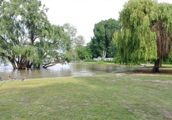 Rettbergsaue_3 | &copy; https://campingfreunde-rettbergsau.de/