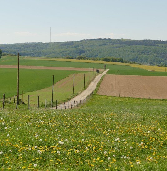Wanderweg | &copy; Armin Schaust