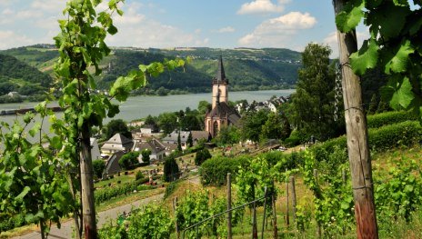 &copy; Robert Carrera, WIESBADEN RHEINGAU