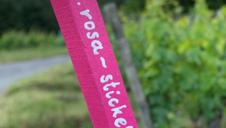 Weingut Rosa Stickel | © Matthias Breuer Weingut Rosa Stickel | © Matthias Breuer