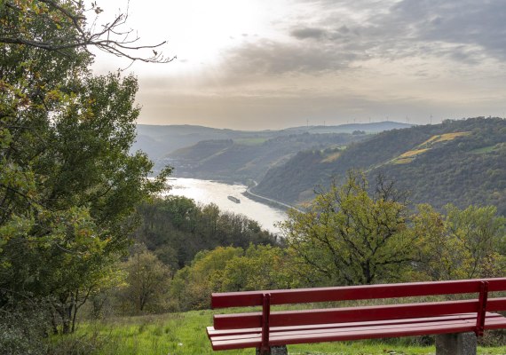 Ausblick Rheintal | © Loreley Touristik GmbH