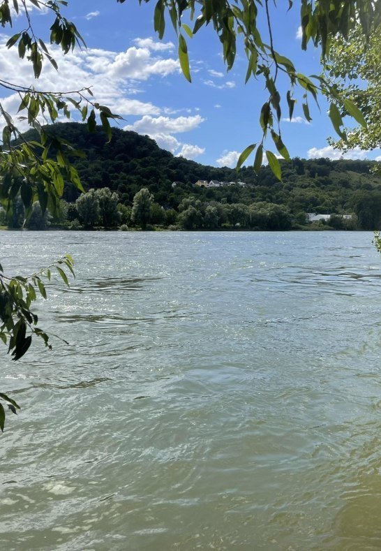 Umgebung | © Andrea Wisian