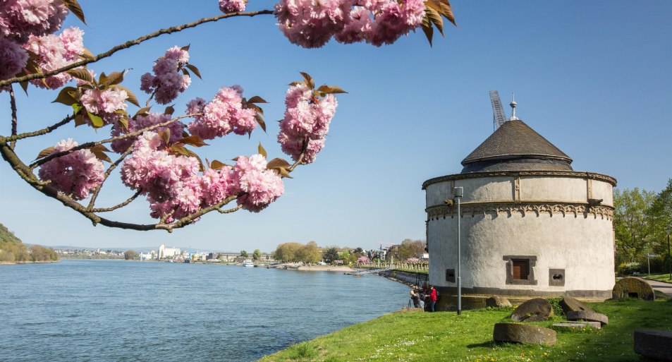 Alter Krahnen Fr&uuml;hling | &copy; 90 Grad Photography/Hilger& Schneider GbR